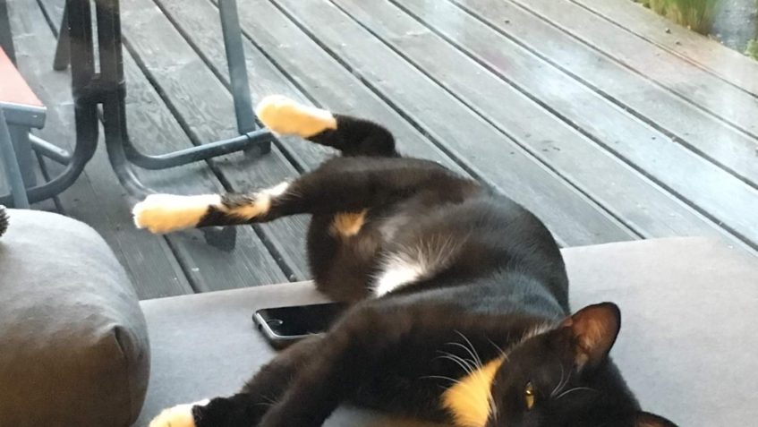 DEČKA alias COCO...