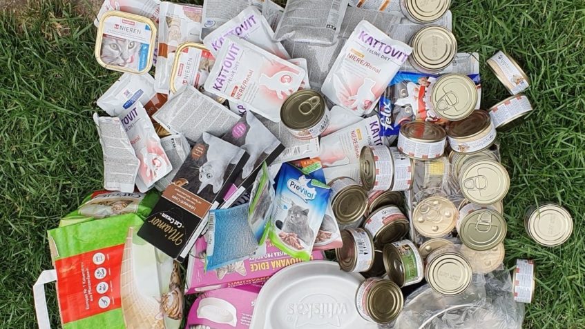 DĚKUJEME MOC ÚŽASNÉMU MLADÉMU PÁRU, KTERÝ NÁS DNES NAVŠTÍVIL...