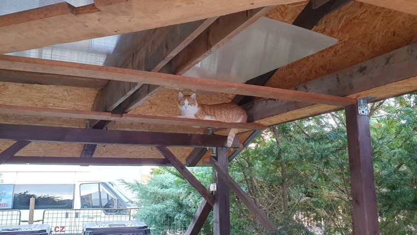 HORKO  JE ÚDÉSNÉ A ZMÁHÁ VŠECHNY, KAŽDÝ SE SNAŽÍ NĚKAM SCHOV...