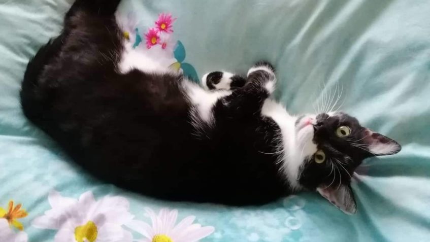 JEŠTĚ PÁR FOTEK OD KRÁSKY CALAMITY...