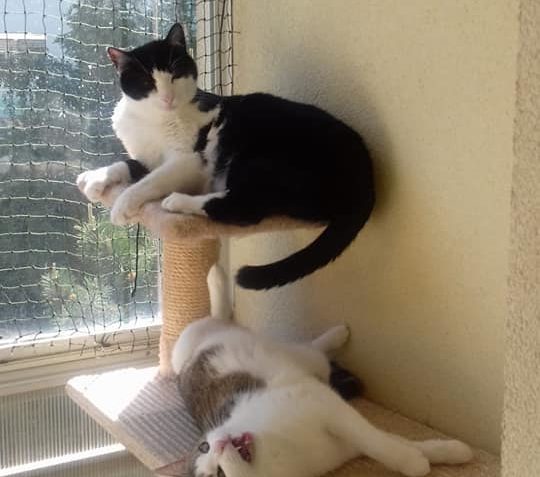 JULINKA, VE SLUNÍČKU MILKA, POSÍLÁ POZDRAV Z DOMOVA....