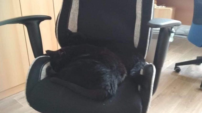 KEVINEK POZDRAVUJE SLUNÍČKA  ZE SVÉHO DOMA A VŠEM PŘEJE TAKÉ...