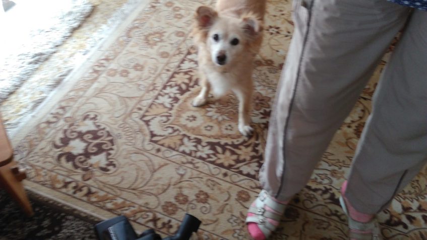 KOCOUREK KUBÍK u nás KUKUČ...