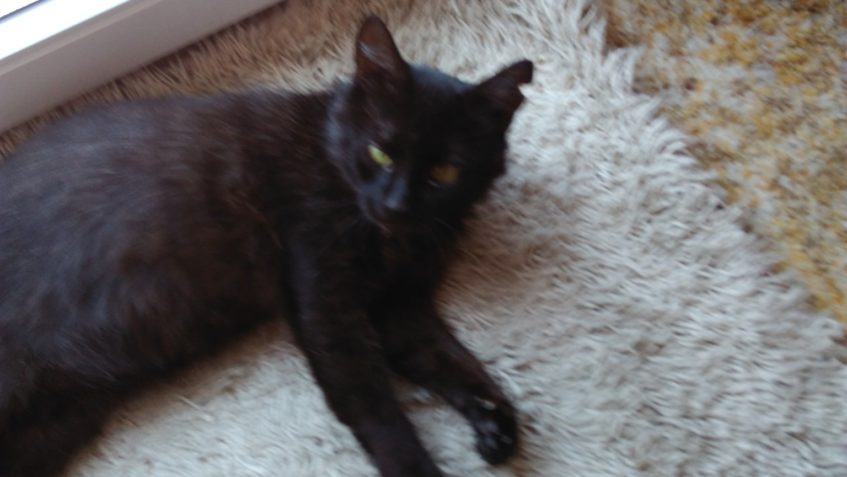 KUKUČ teď KUBÍK...