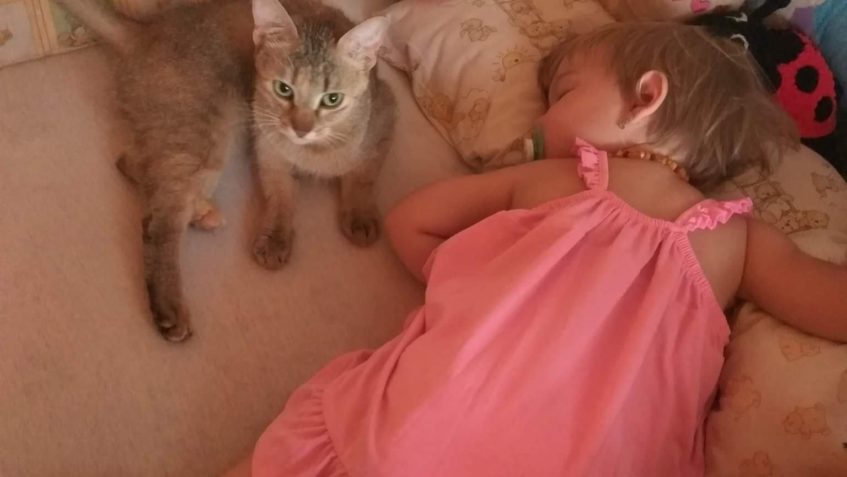 LIŠTIČKA a NIVA (černá)...