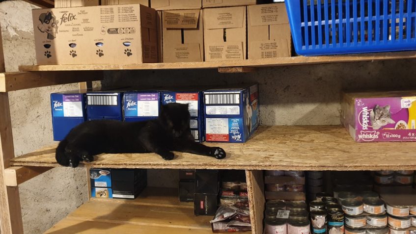 MŇOUKAL   HLÍDÁ SKLADOVÉ ZÁSOBY VE SLUNÍČKU...