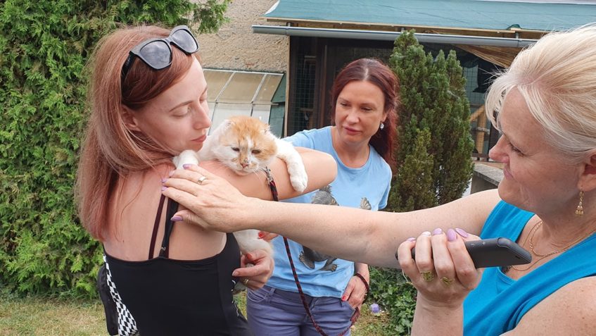 NA NÁVŠTĚVU PŘIŠEL V SOBOTU I NÁŠ GARGAMEL S MAMINKOU  a s k...