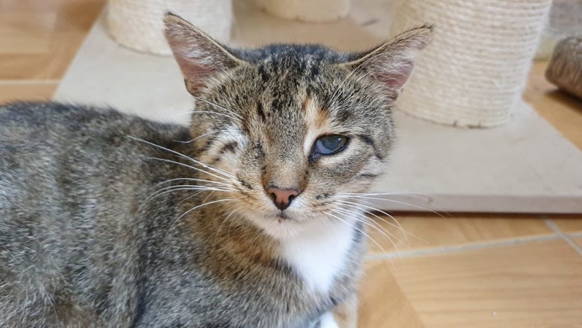 NESKUTEČNÉ MILÁ, MAZLIVÁ A VLEZLÁ BECKY...