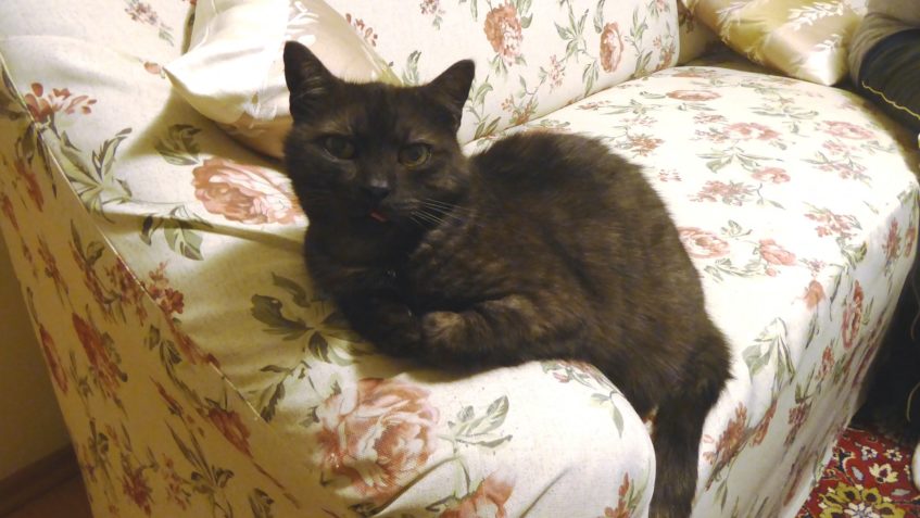 PRAHA 5  STODŮLKY...