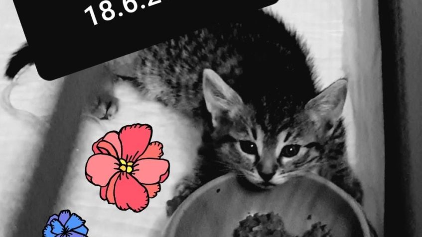 PŘES VEŠKEROU NAŠI SNAHU A PÉČI PŘES VEŠKERÉ VYBAVENÍ NOVÉ P...