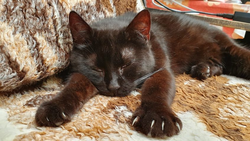 SLUNÍČKOVÁ  JULINKA SE OPALUJE V PERGOLE