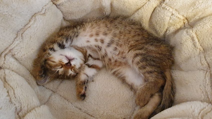 UNAVENÁ  SLUNÍČKA...