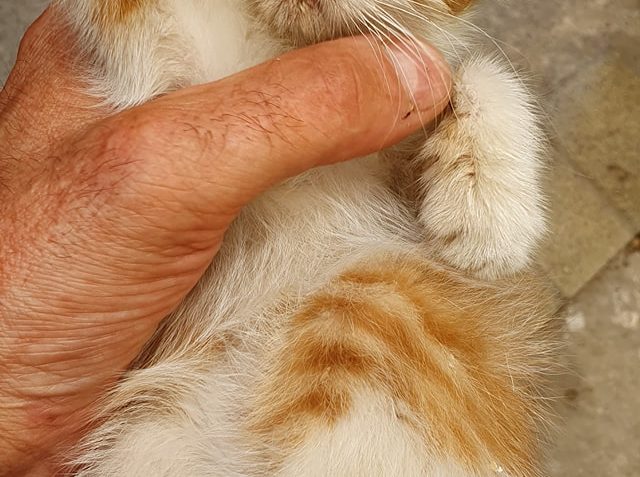 URGENTNÍ PŘÍJEM DNES...