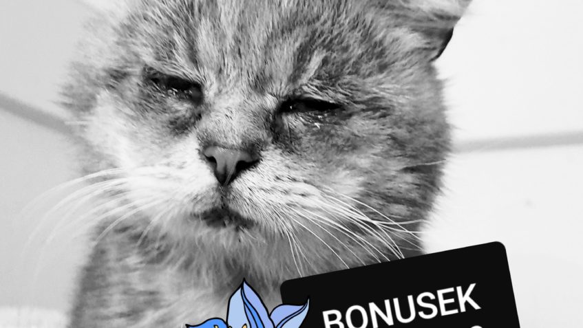 VČERA DOPOLEDNE NÁS NÁHLE OPUSTIL ÚŽASNÝ NEKONFLIKTNÍ MILÁČ...