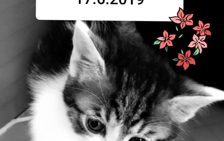 VČERA PROHRÁLA SVŮJ BOJ A DOPUTOVALA   SMUTNOU POUŤ NA ZEMI ...