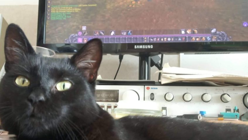 WAFLIČKA MILUJE  "GAMESY" A HERNÍ PÁRTY