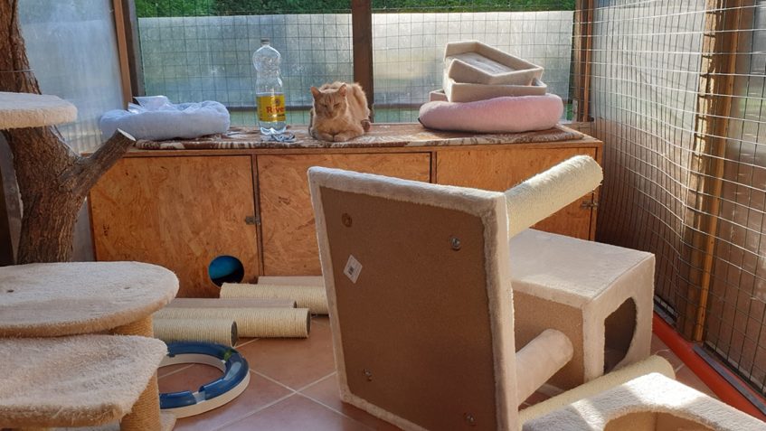 WARIOREK  DOHLÍŽÍ NA STAVBU A VÝMĚNU SKRABADEL VE VOLIERACH