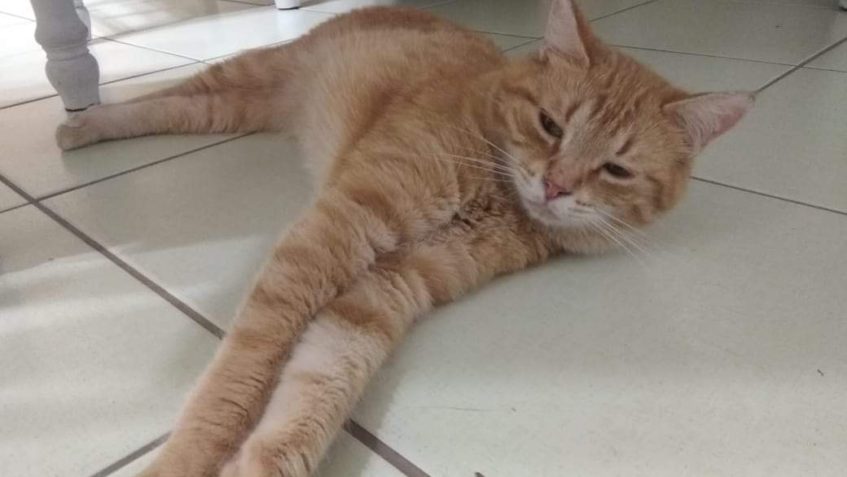 ZLATÁNKOVI PRVNÍ ZPRÁVY...