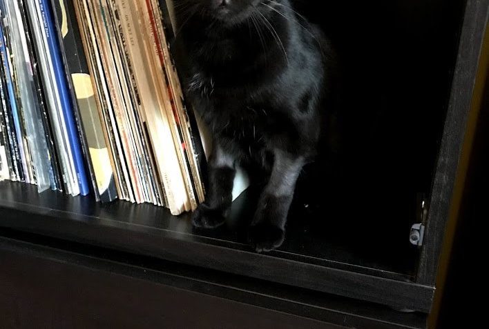 ČIČMÁNEK alias SÁZÍNEK...