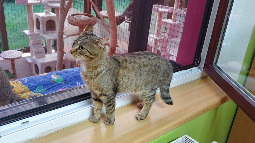 Doplnění informací......