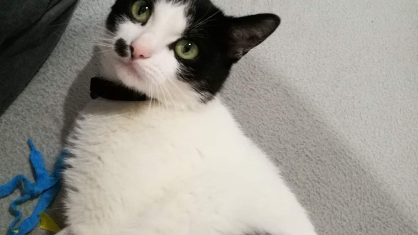 3x3 JE 9 - KDO BRUČÍ JE MEDVĚD , TADY JE TO OVŠEM SPOUSTU DŮ...