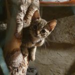 BEJBY  NESEDÍ V KOUTĚ ANI V NOCI...