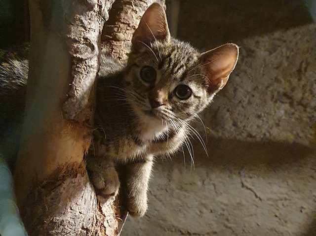 BEJBY  NESEDÍ V KOUTĚ ANI V NOCI...