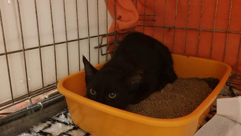 DALŠÍ 2 KOUSKY Z NÁDRAŽÍ...