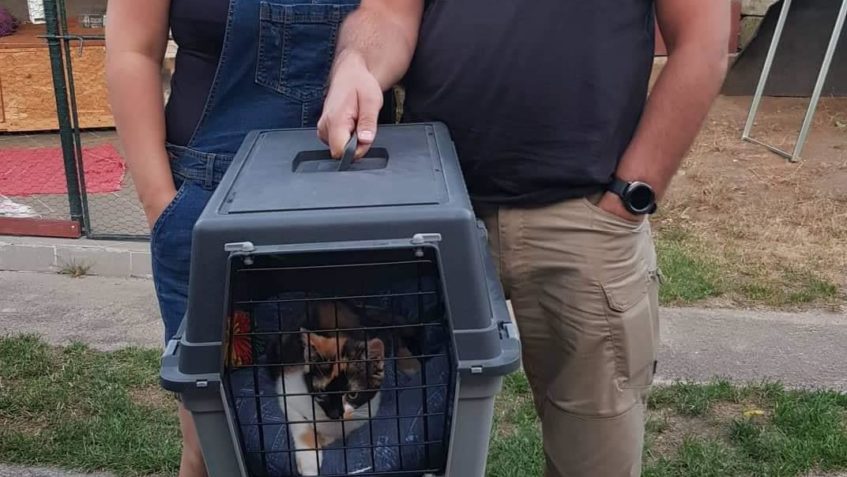 DO NOVÉHO DOMOVA ODEŠLA KOČIČKA CIBULKA  A TADY JSOU PRVNÍ Z...