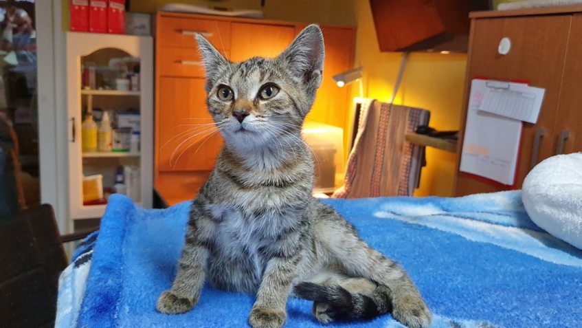 Doplnění informací...