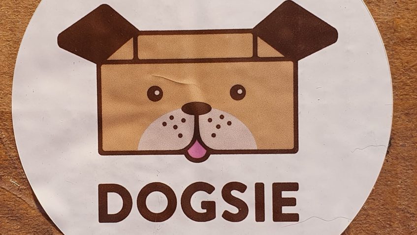 DĚKUJEME FIRMĚ DOGSIE  ZA KRABICI PLNOU PAMLSKŮ PRO NAŠE KOČ...