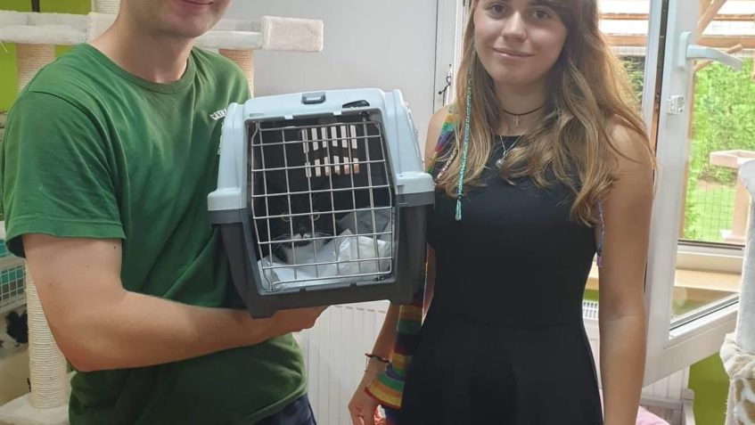 FÍBÍ UŽ NENÍ MEZI NAMI, ALE NAŠLA SI NOVÝ DOMOV...