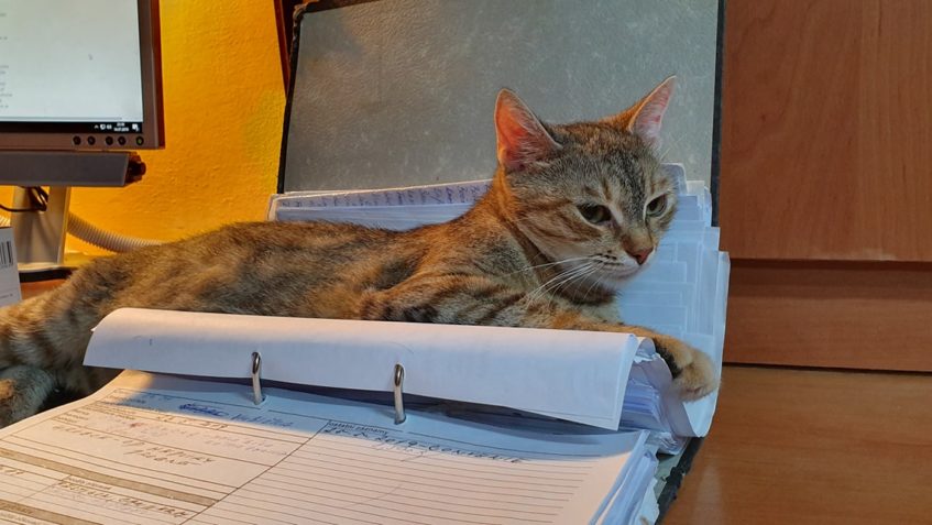 JAK K JÍDLU, TAK K DÍLU...