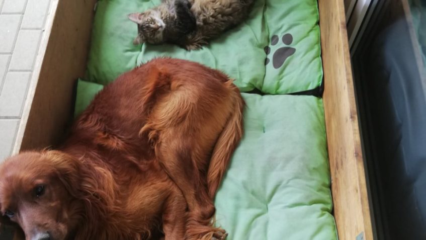 JASMÍNKA alias VLTAVKA...