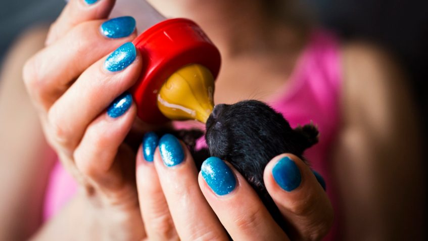 Ještě 4⃣ dny do konce aukce. Draží se profi focení v...