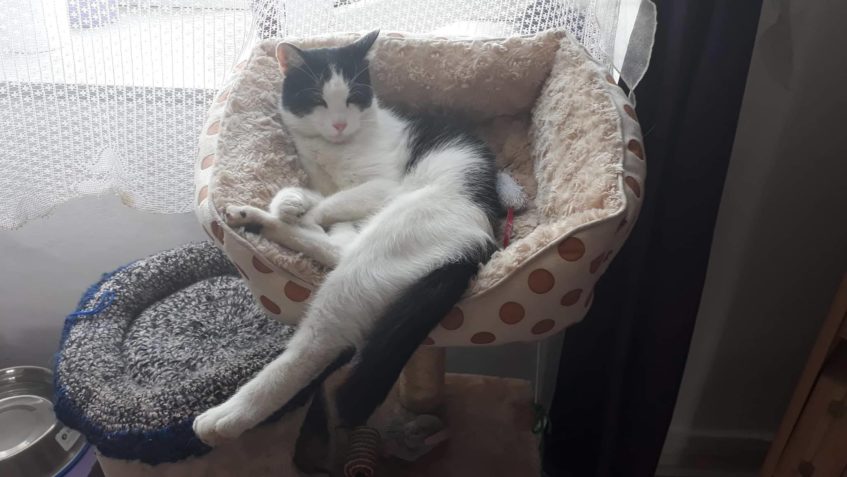 KRÁSNÉ ZPRÁVY PŘIŠLY I OD FERDY...