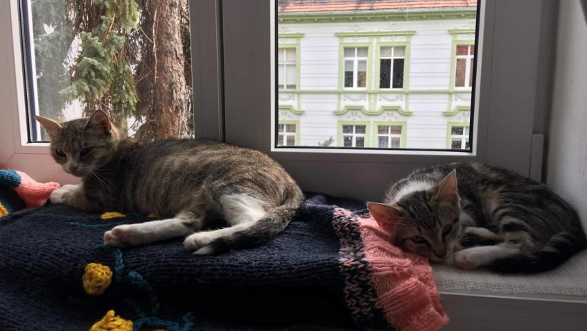 KŘISŤÁLEK A VIOLETKA...