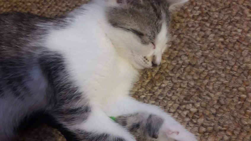 MALÝ GRANÁTEK Z DOMOVA...