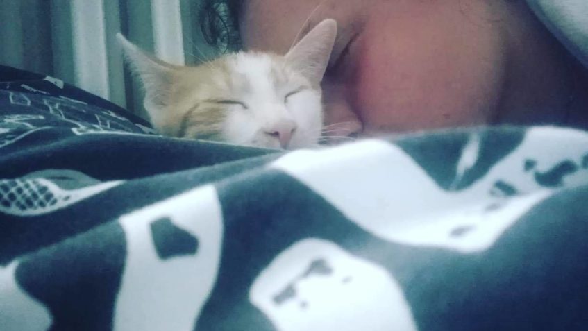 MATÝSEK V NOVÉM DOMOVĚ...