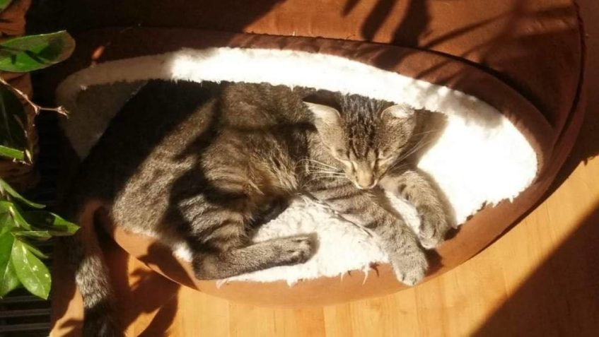 OBČAS K NÁM DORAZÍ I ZPRÁVY SMUTNÉ  PROSÍME MYSLETE NA BOŘÍK...