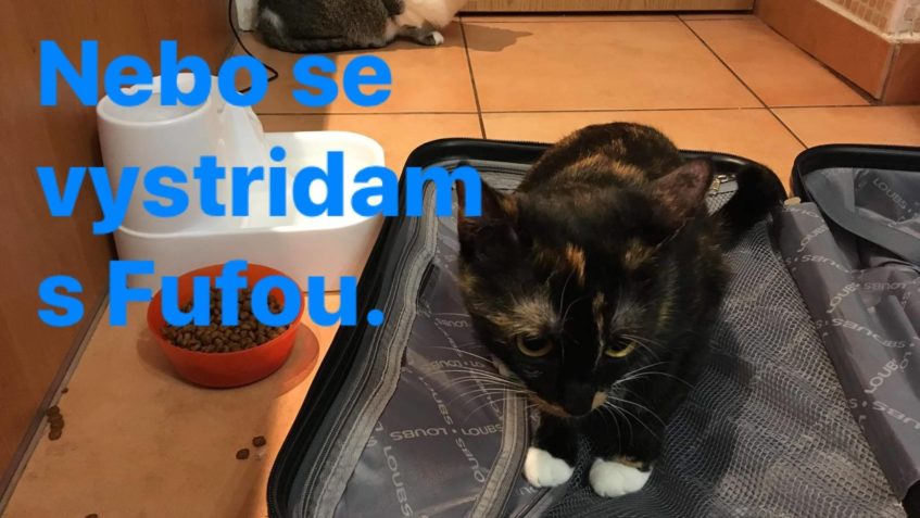 OFI & FUFI  SE VRÁTILA MAMINKA Z CEST...