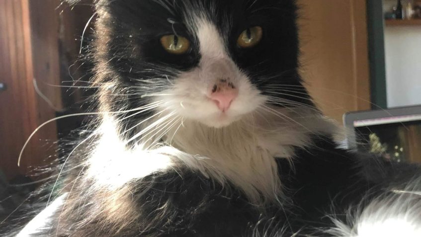 RAGOUŠEK  A MAŘENKA...