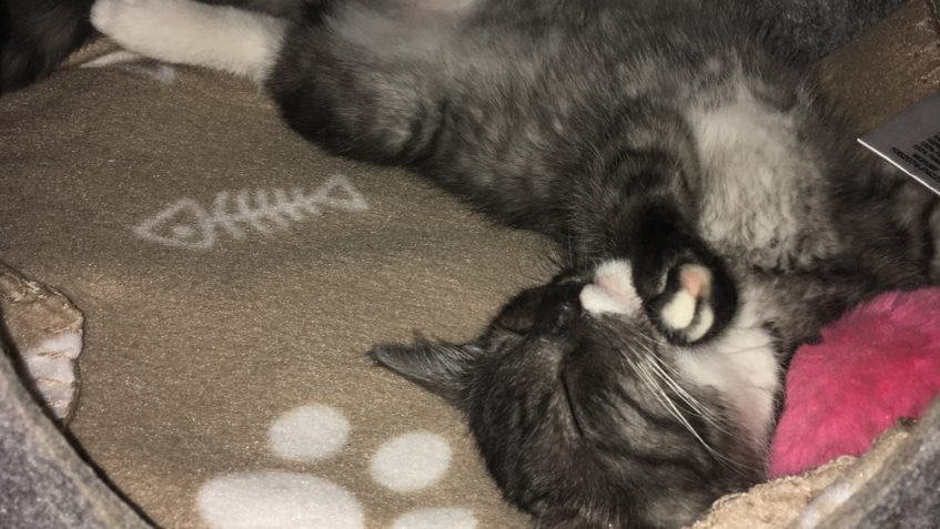 RYCHLÝ POZDRAV OD NIKOTÝNKY...