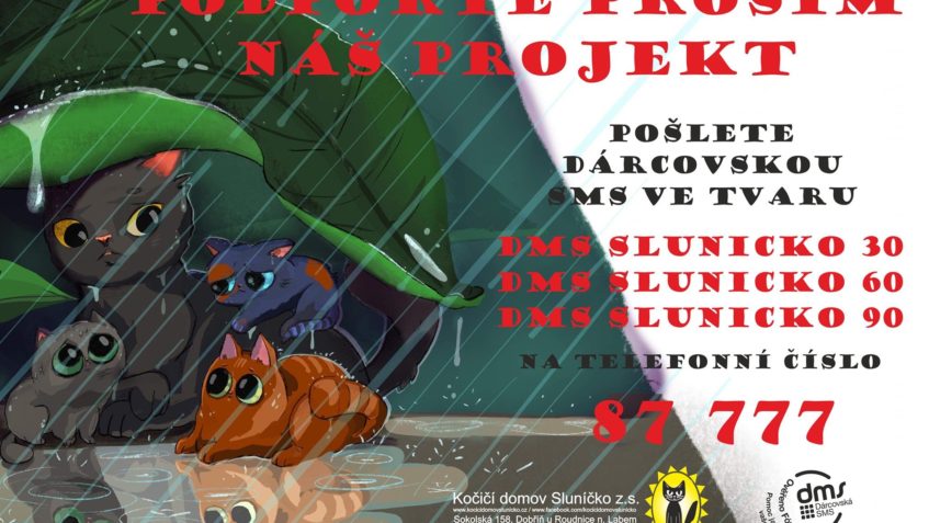 SNÍŽENÍ POČTU BEZPRIZORNÍCH KOČEK a NÁSLEDNÁ PÉČE v ÚTULKU ...