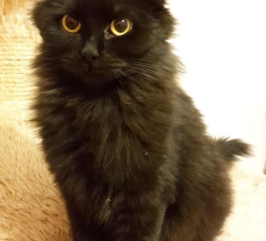 STÁLE HLEDÁME A DOUFÁME...