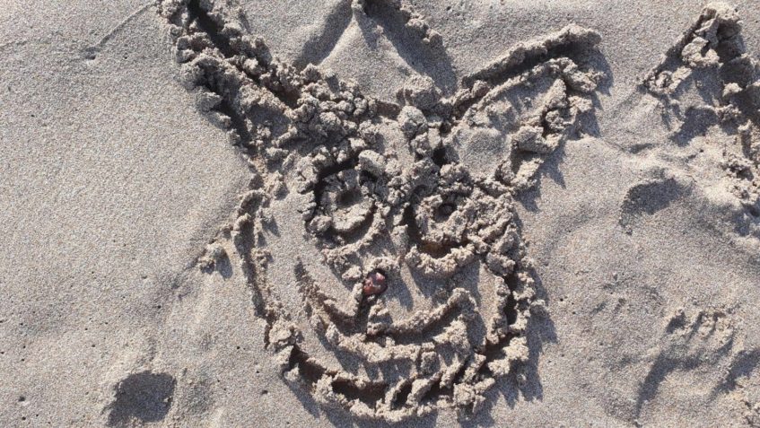 TAKOVÉTO KRÁSNÉ POZDRAVY  POSÍLAJÍ NAŠIM KOČIČKAM  OD MOŘE  ...