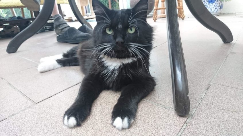 VELKÝ SALADIN  POZDRAVUJE DO SLUNÍČKA...