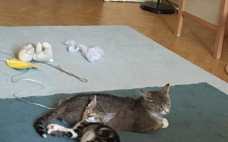 VIOLKA A KŘIŠŤÁLEK z domova...