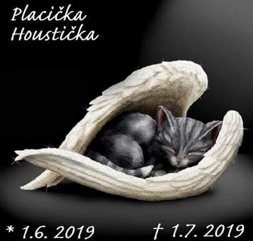 VZPOMEŇTE PROSÍM S NAMI, NA NAŠE KOTĚCÍ MIMINKA , KTERÁ DÍ...
