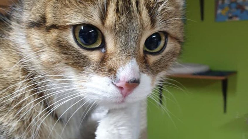 VČERA SE PO MĚSÍCI NAŠLA sluníčková SHEVA a PŘED PÁR DNY SE...